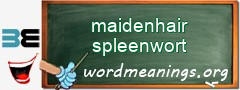 WordMeaning blackboard for maidenhair spleenwort